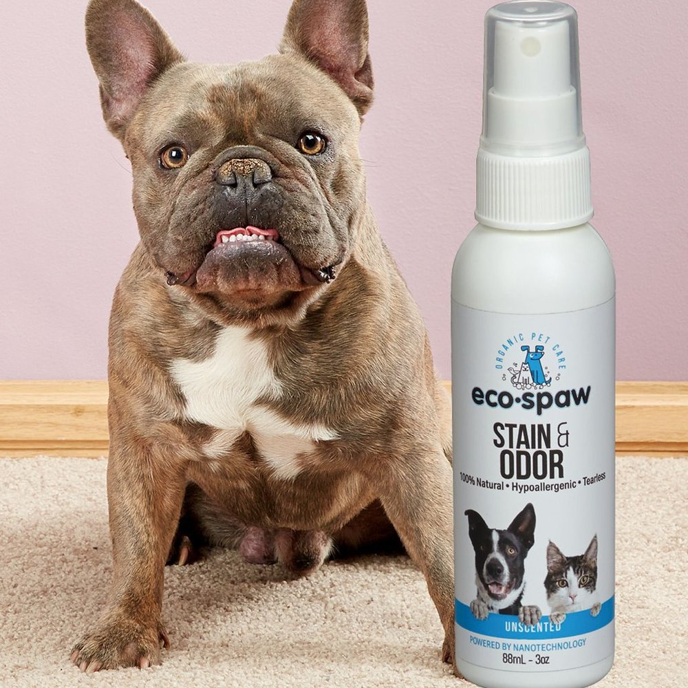 PET STAIN & ODOR SPRAY Safe on fabrics and pets!